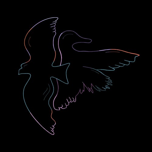 Bird Fight’s avatar