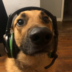 peanunbudner