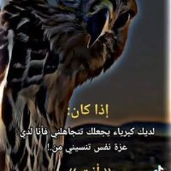 يوسف الفقي
