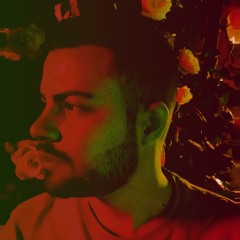 Amir H. Torki