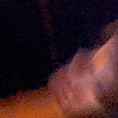 Staggr