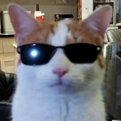 louis _a