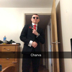 STEVO