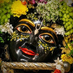 Aditya Raikwar