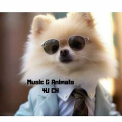 Music & Animals 4UCH