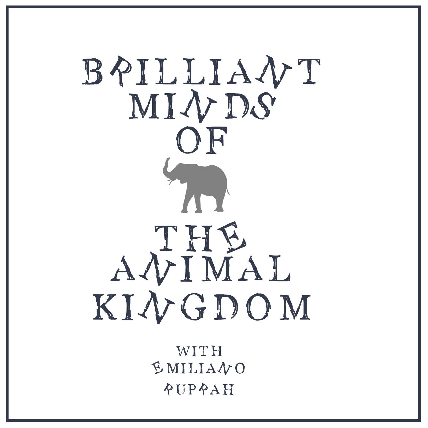 Brilliant Minds of the Animal Kingdom