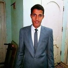 محمود سالم