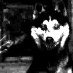 ꧁🖤⛧°. ⋆༺𝖛𝖆𝖒𝖕𝖎𝖗𝖎𝖈༻⋆. °⛧🤍꧂