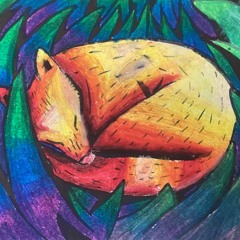 ･｡Aidana~Selurista｡･