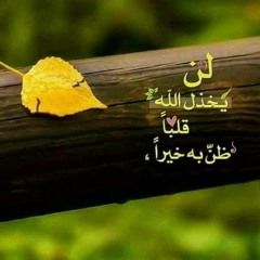 Eman Ahmed