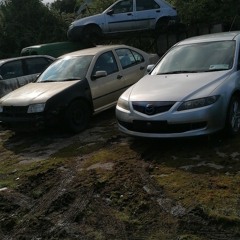 Luca_your_local_car_guy