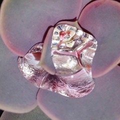 𝖋𝖚𝖑𝖑 𝖇𝖆𝖇𝖞