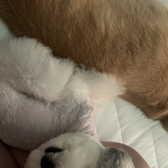 민공쥬