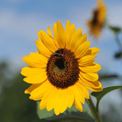 Mindful.Morning.Keli