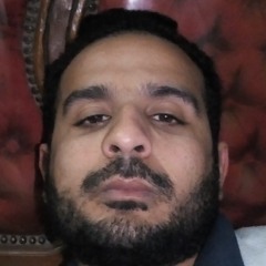 محمد عادل عيد