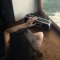 فاطـم'