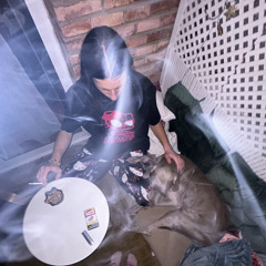skityq🦇