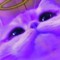 sambucat