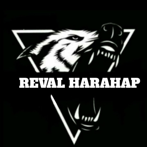 🕸️ Reval Harahap 🕸️’s avatar