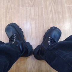 Lisstter