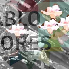 Pablo Tomas Flores Medel