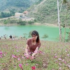 Nguyễn Đình Tuấn