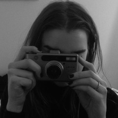 daisycitys.