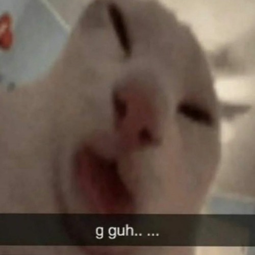 cat call
