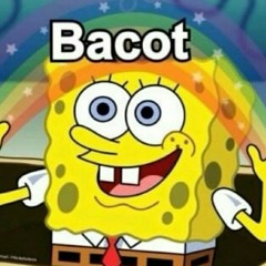 Sponsbob