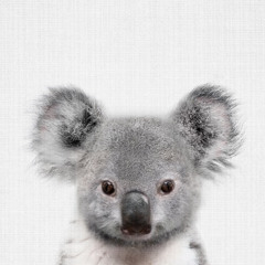 wunnawanna