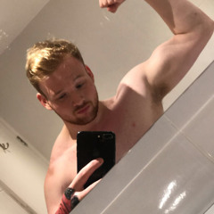 Gingbear01