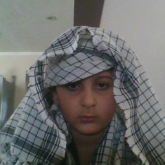 Ali  Amin
