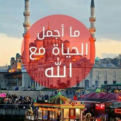 mohamedmedo