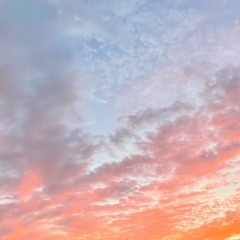nxvb