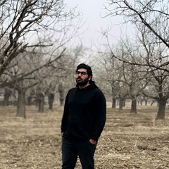 Alireza Golshanpor