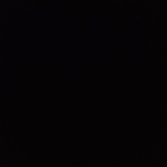 pindir