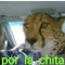 User 565789088