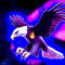 JAE.VULTURE