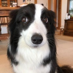 Lets Take a Look👀👀👀👀👀👀👀👀👀