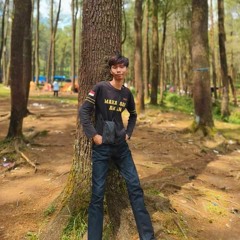 BanGtss Aeel