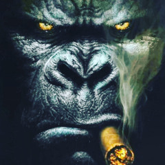 Davide Carsidona d monky