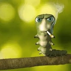 the fog kinnie 💋