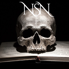 NsN