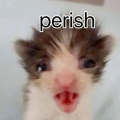 ⋆.˚✮🎧✮˚.⋆