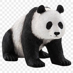 litteulpanda