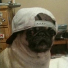 ┌(◐╚╝◑)┘