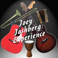Joey Joshberg Experience