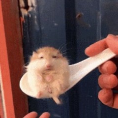 Hampster Spoon man