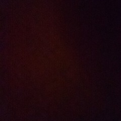 Los Perros Del Yonke