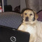 Thilo
